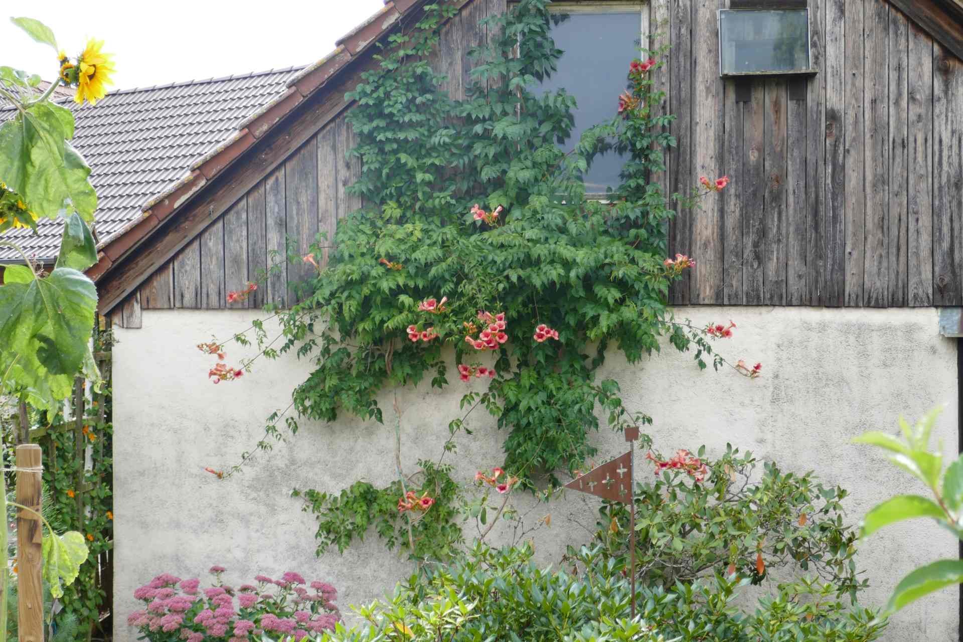 09 September - übers Pfaffenloh nach Westerhofen